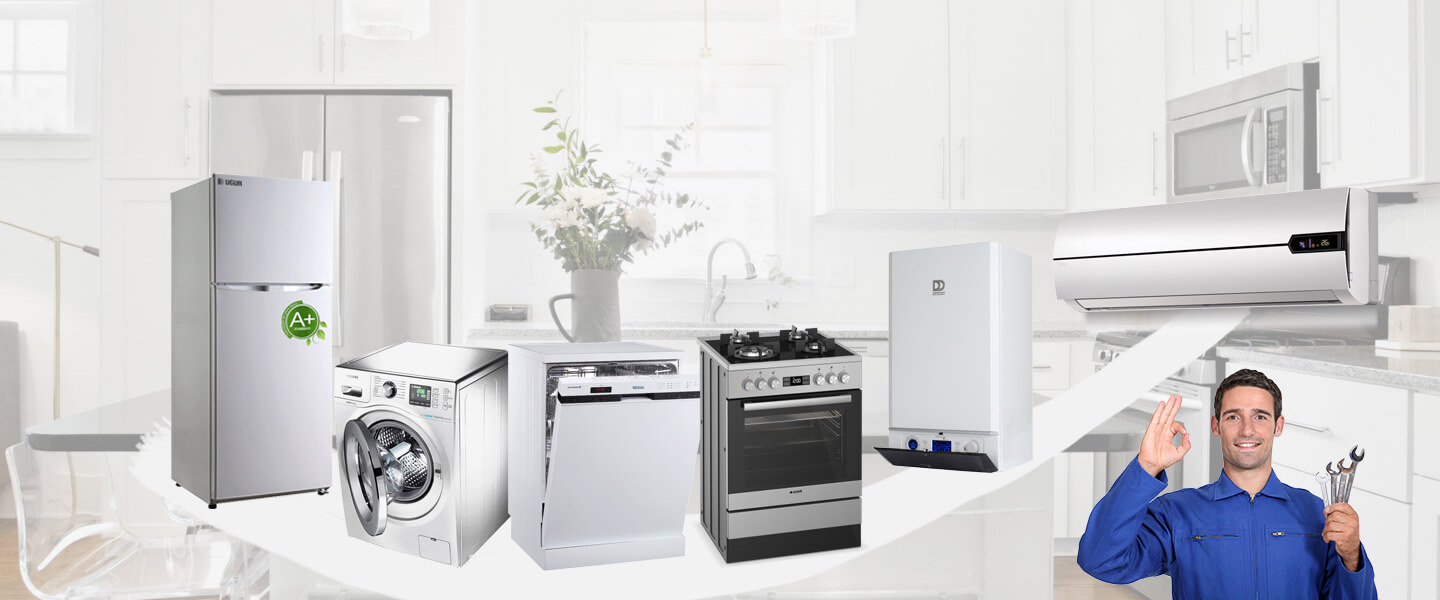 Payamlı Electrolux Servisi